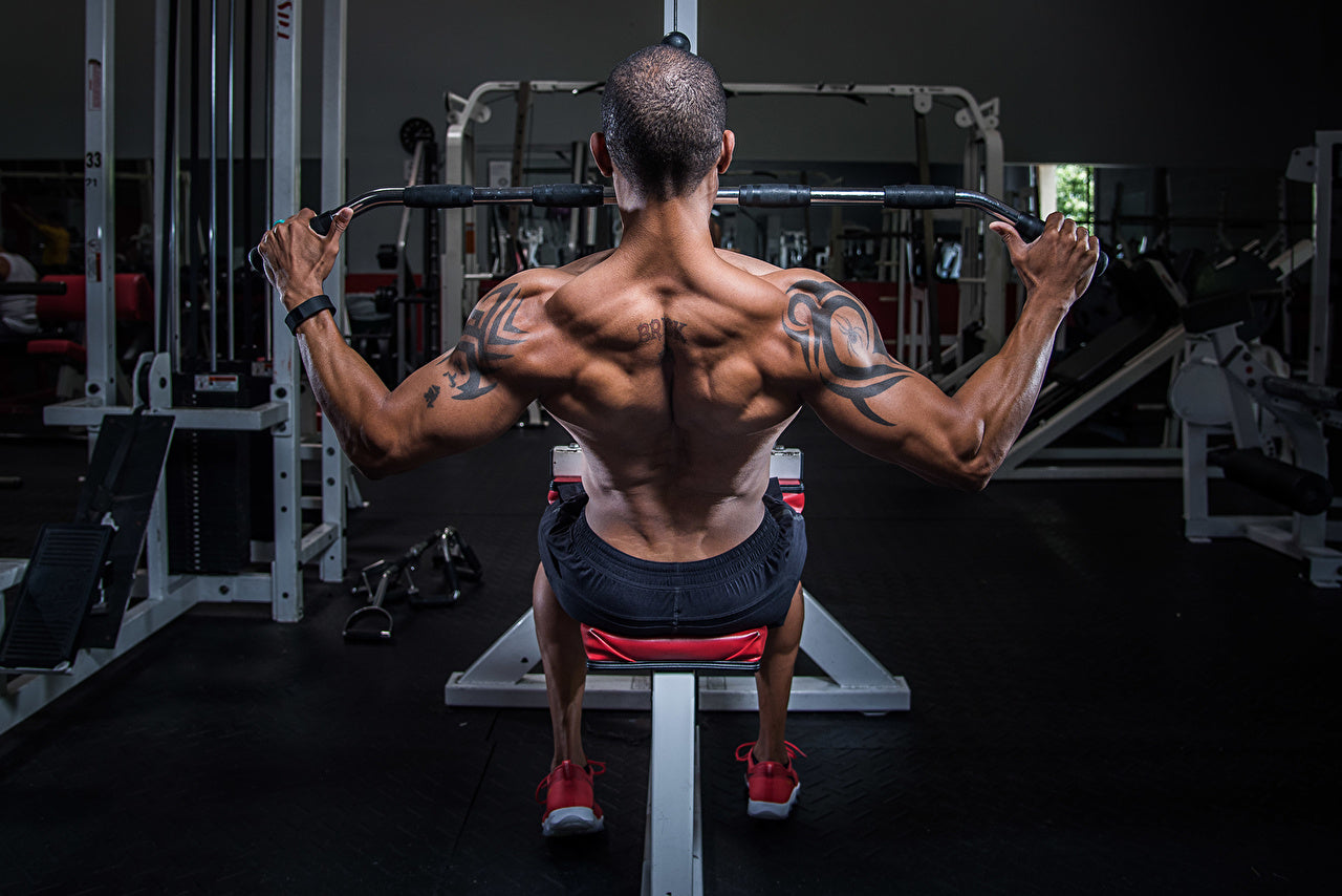 Mastering the Back: A Comprehensive Guide to Back Muscle Workouts
